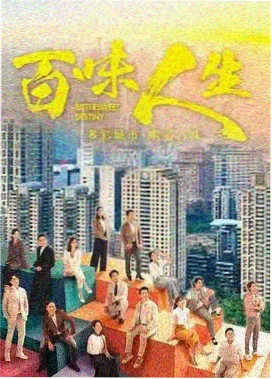雾港十三号剧集封面